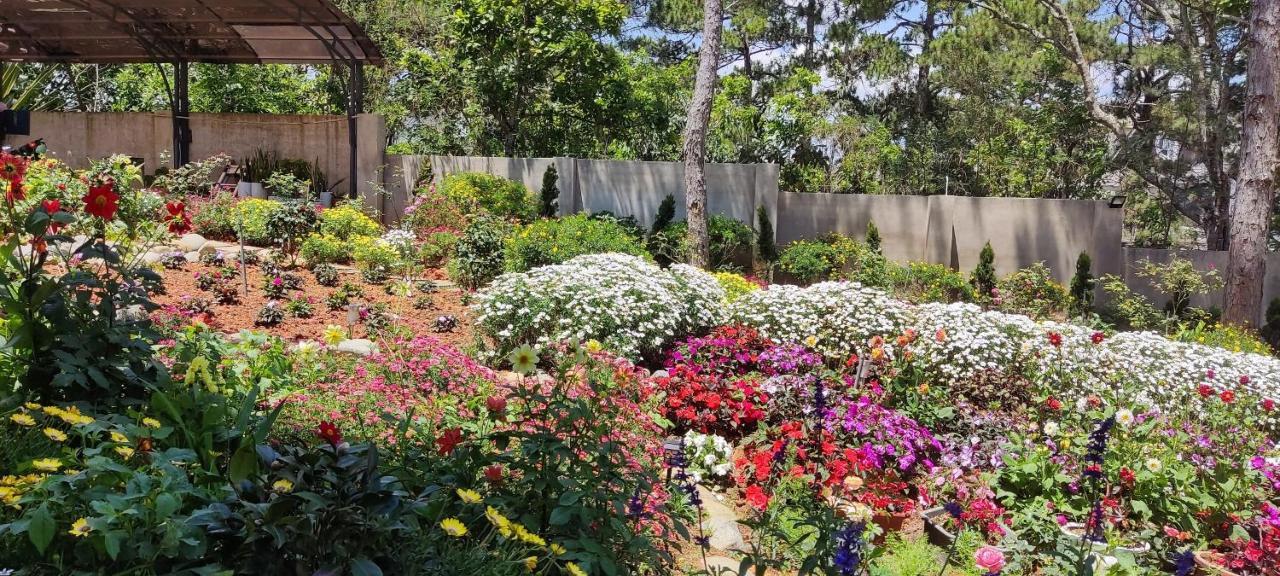 Bạch Trà Villa Đà Lạt Ngoại thất bức ảnh